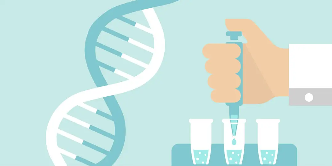 がん遺伝子検査ではどんなことが分かるの？