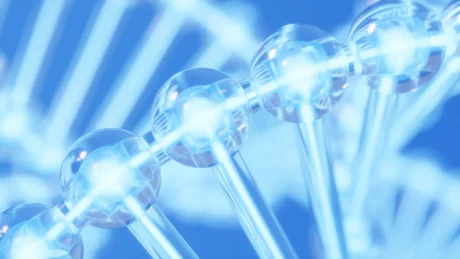 なぜNucleolin(ヌクレオリン)を標的とすることが、がん治療として注目されているのか なぜNucleolin(ヌクレオリン)を標的とすることが、がん治療として注目されているのか